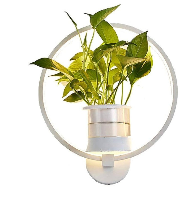Rebolet| Botanische Wandleuchte mit Pflanze | Stilvolle Wandbeleuchtung