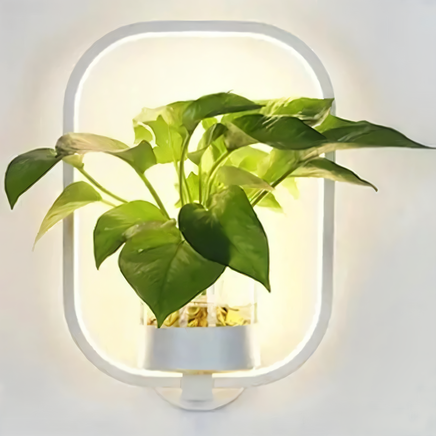 Rebolet| VerdantLume LED-Wandleuchte mit Pflanzenhalter