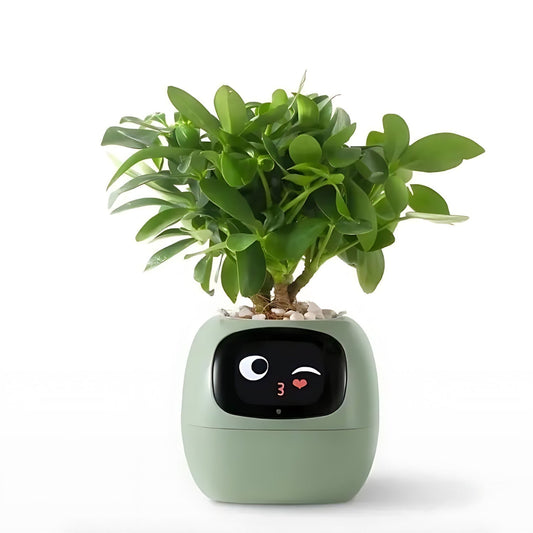 Rebolet| Automatischer smarter Blumentopf - GreenBuddy SmartPot