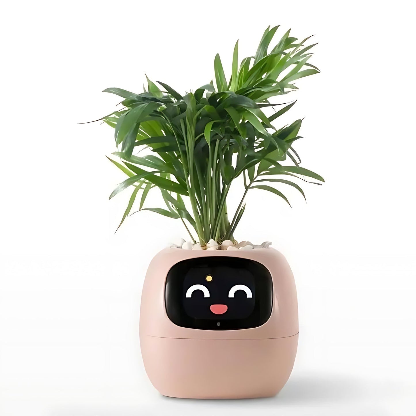 Rebolet| Automatischer smarter Blumentopf - GreenBuddy SmartPot