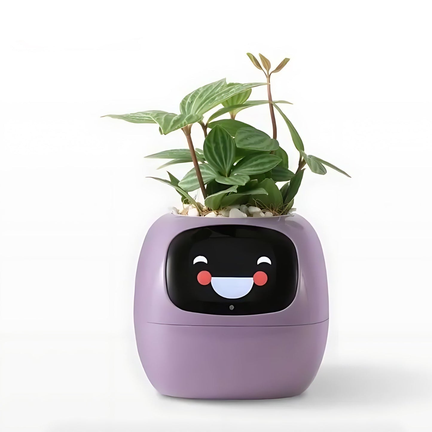 Rebolet| Automatischer smarter Blumentopf - GreenBuddy SmartPot