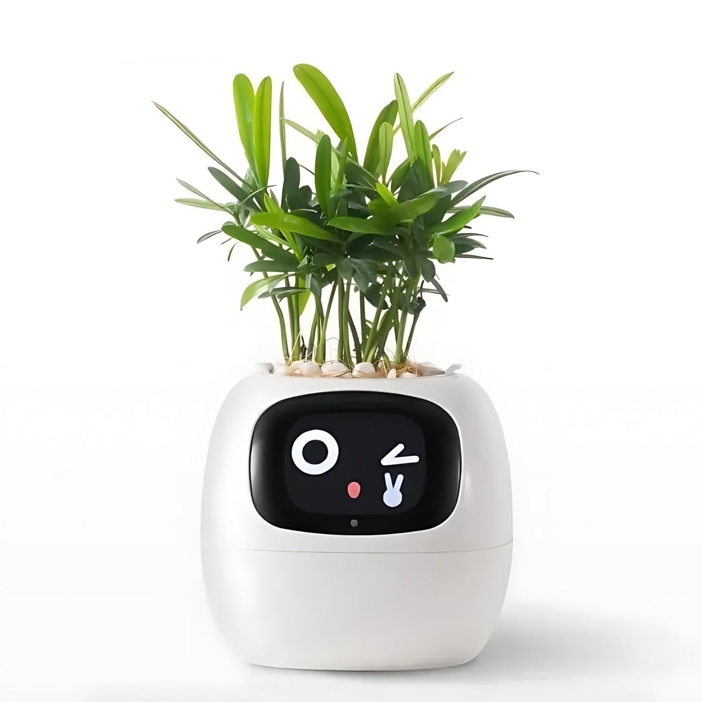 Rebolet| Automatischer smarter Blumentopf - GreenBuddy SmartPot