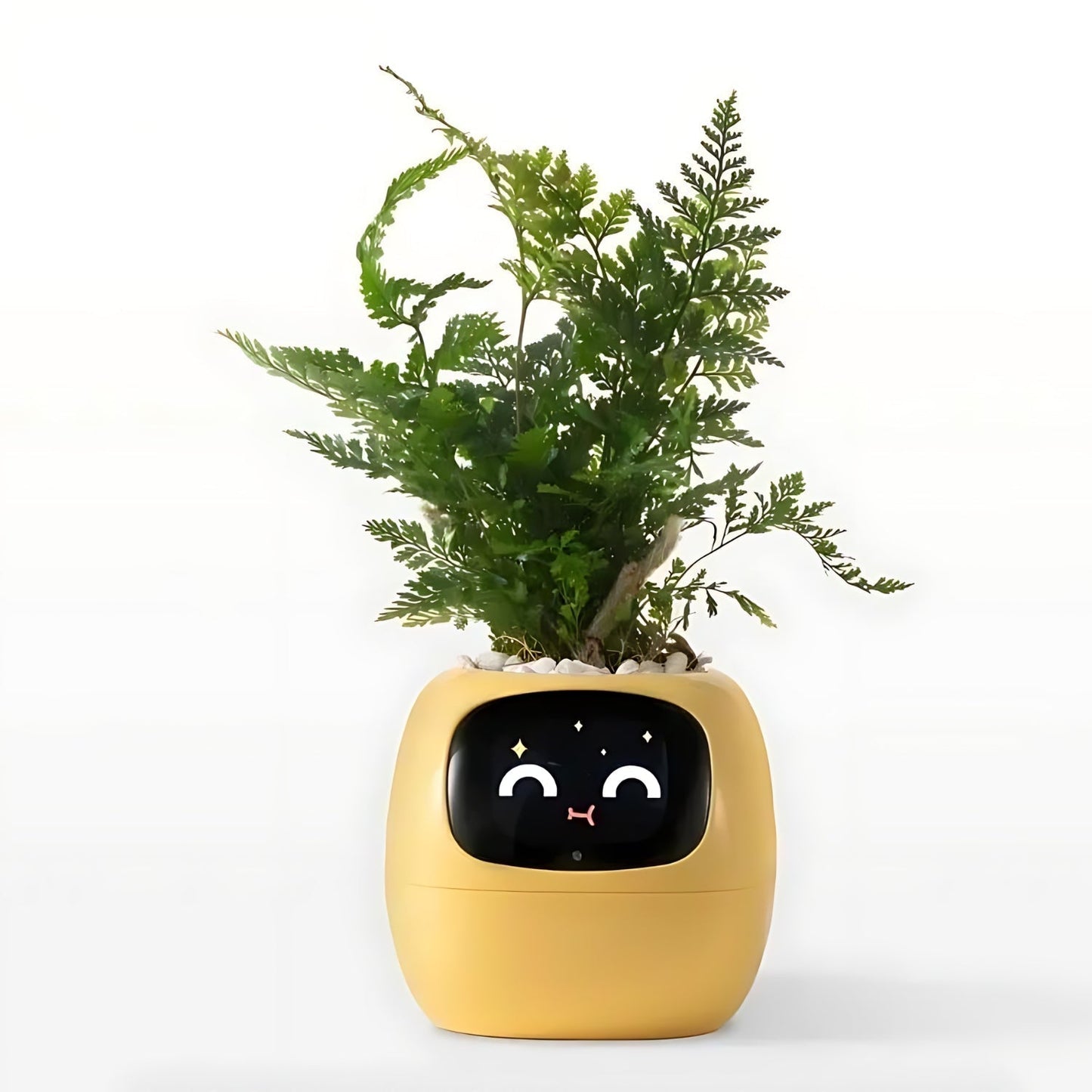 Rebolet| Automatischer smarter Blumentopf - GreenBuddy SmartPot